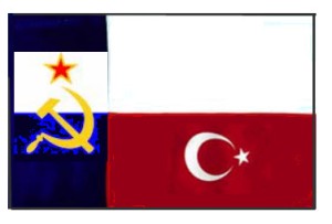 Texas-Cscope-Flag
